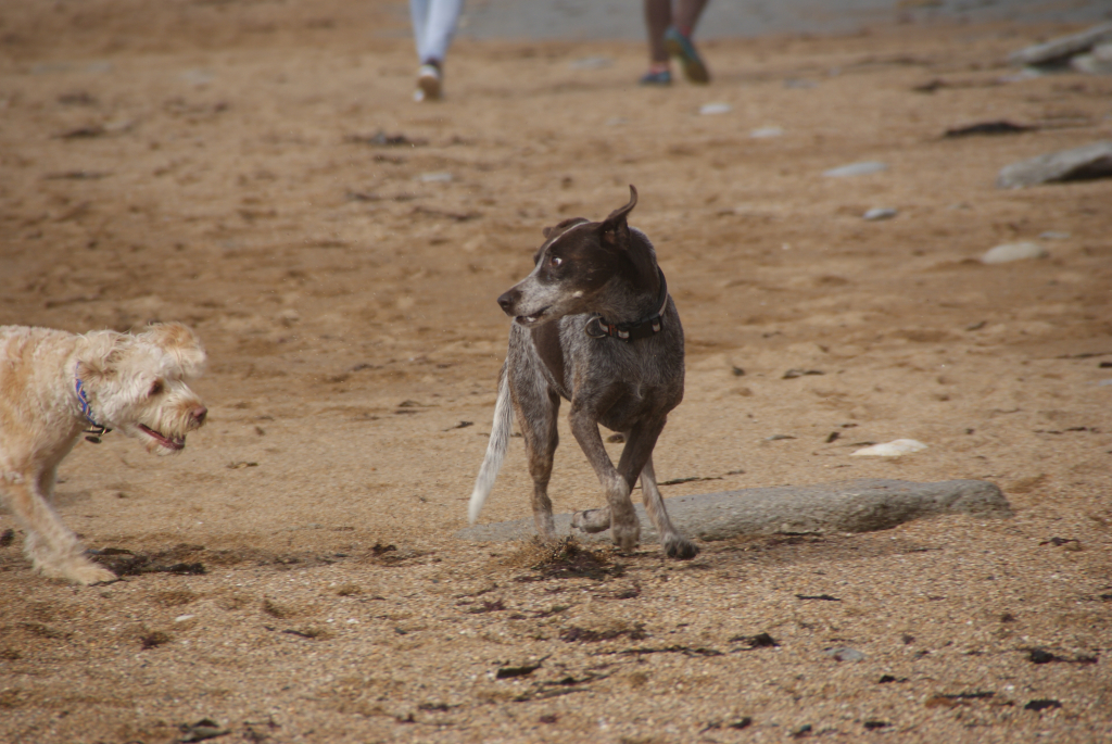03_Prillan_am_Strand