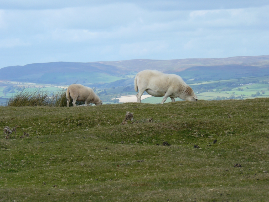 115_Wales_und_England_2018_Brecon_Beacon