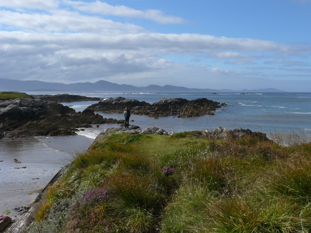 155_Ring_if_Kerry