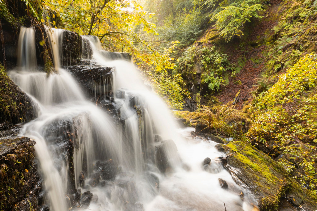 93116-the-birks-of-aberfeldy-large