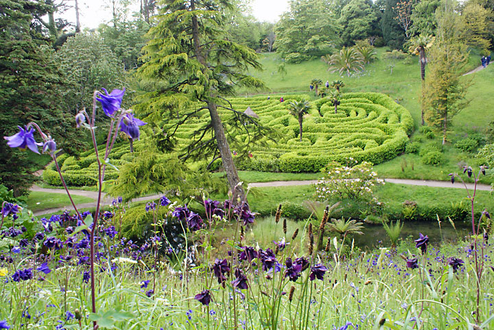 Glendurgan_2009-05-16_0007